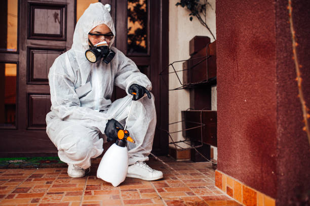 Reliable Bed Bug Control contractor in Fort Washington, PA by Nex Pest Control