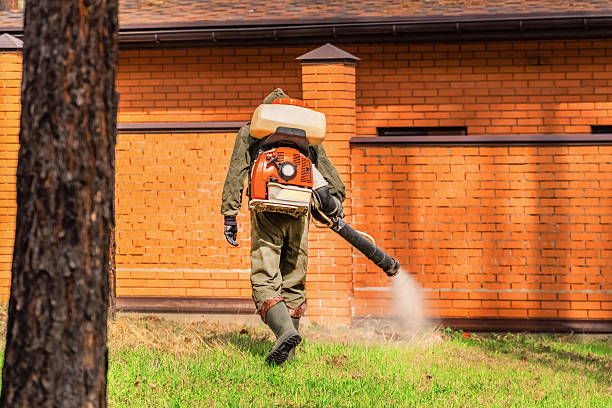 Trusted Rodent Control service in Fort Washington, PA - Nex Pest Control